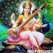 Acharya Swami Kamalavidya Saraswati – CV