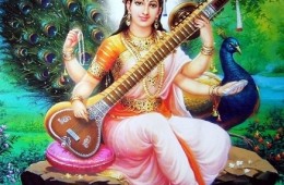 Acharya Swami Kamalavidya Saraswati – CV